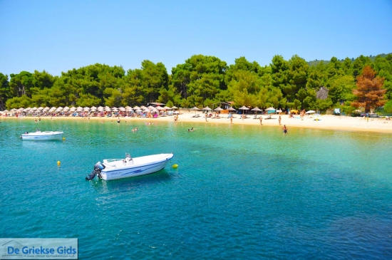Skiathos Koukounaries